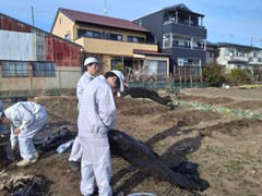 農業と環境（畑の片付け）