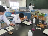実験（５）