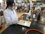 実験（１）