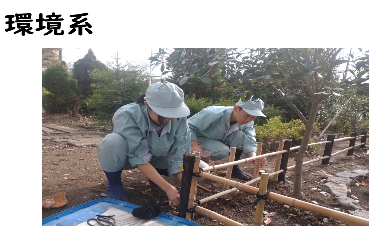 環境系