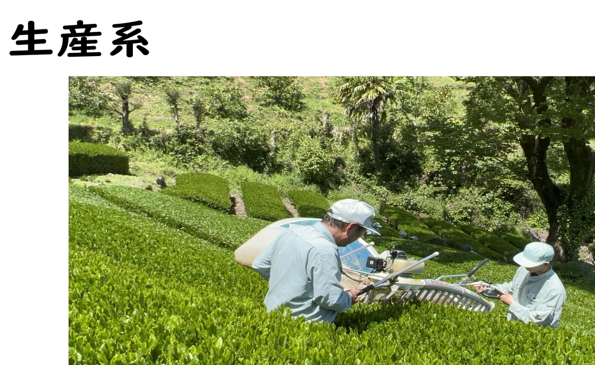 生産系