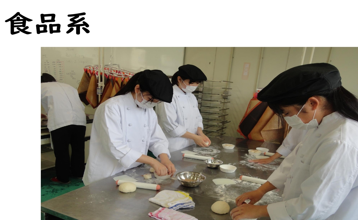 食品系