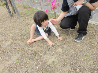 自分からすなに触っています