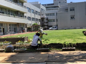 かかしを立てているところ