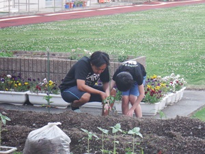 成長具合を確認している様子