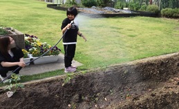 水やりをしている様子