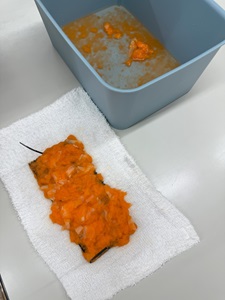 紙漉き液を型に流しいれた様子。 紙漉き液を型に流しいれた様子。