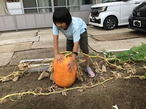触って確認