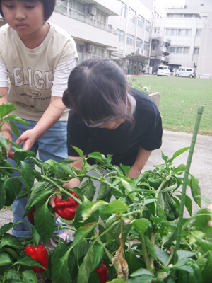 パプリカ　さん