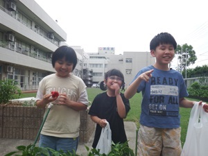 パプリカ　よん