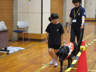 盲導犬協会