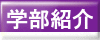 学部紹介