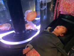 ①