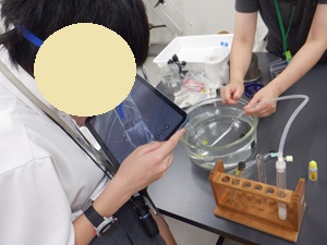 気体の発生を観察する様子