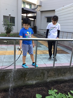水やり①