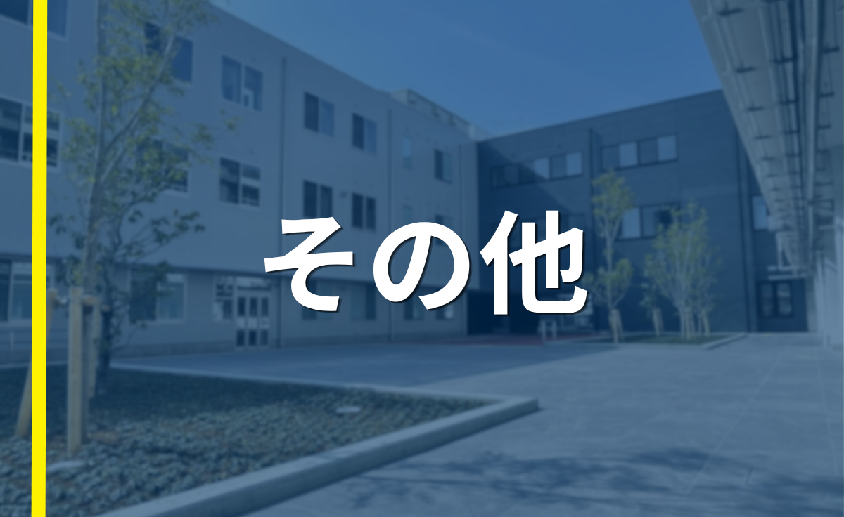 その他