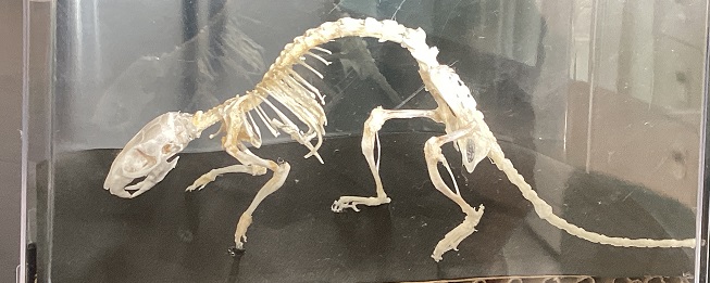 自然科学系列