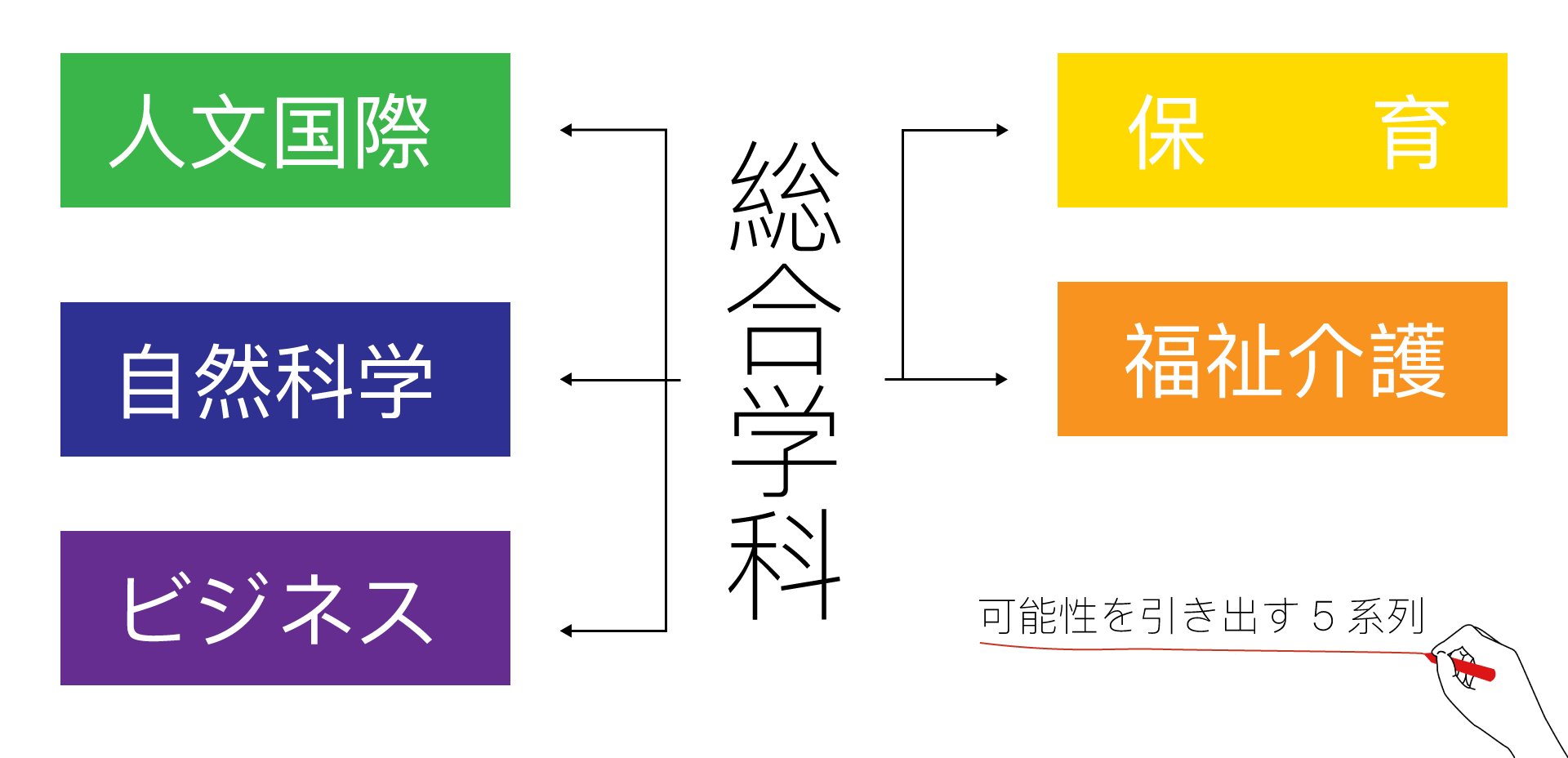 5つの系列の図