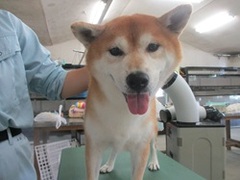 １