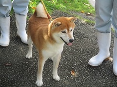 ４