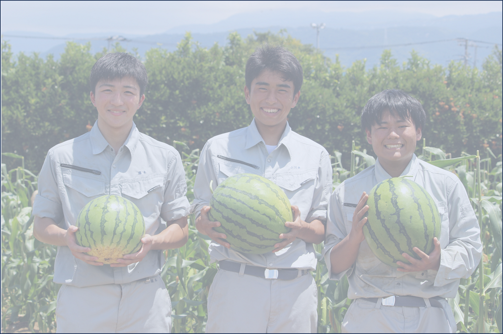 田農日誌