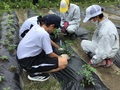 授業交流