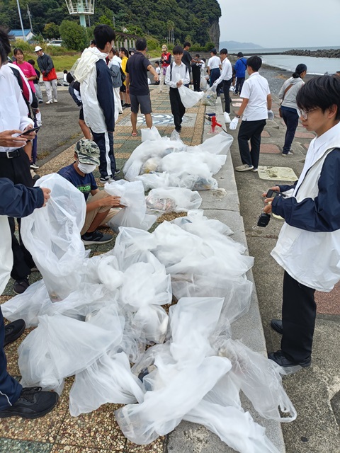 海岸清掃ごみの回収