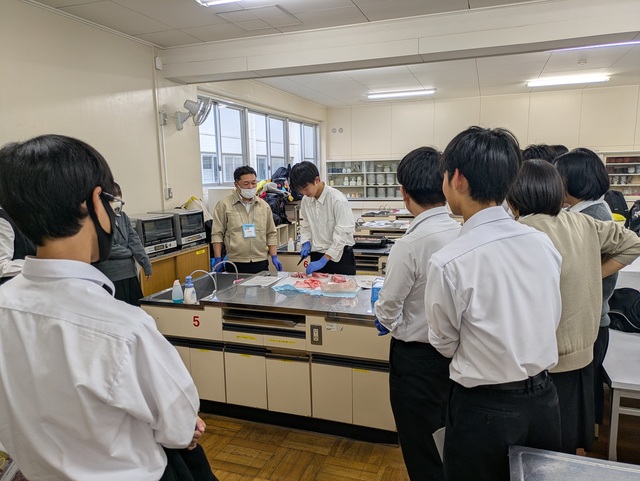 田子重