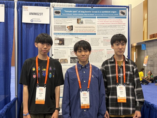 ISEF①