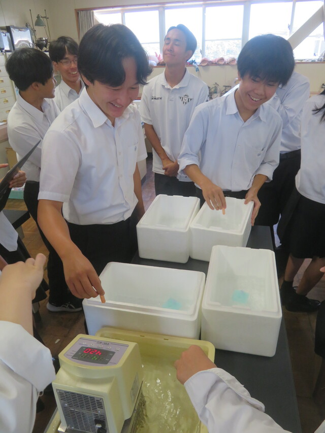 静大実習④