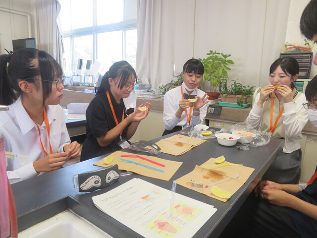 中高大連携授業04-1 味覚実習1