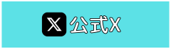 公式x