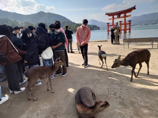 1203修旅9