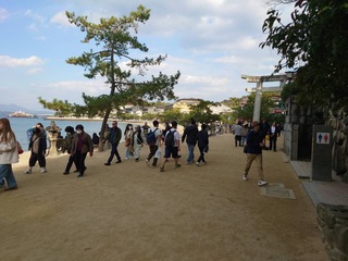 1203修旅12
