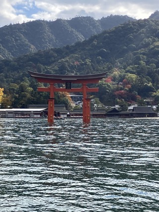 1204牡蠣３
