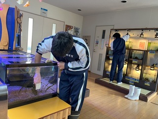 インターンシップ