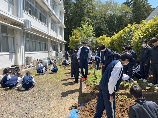 よこすかしろ