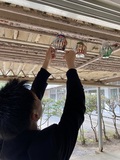 空き缶風車