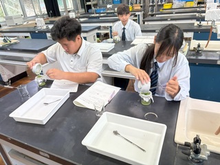 ブロッコリーDNA