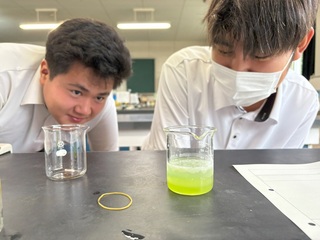 ブロッコリーDNA