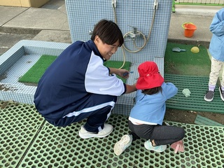 保育実習