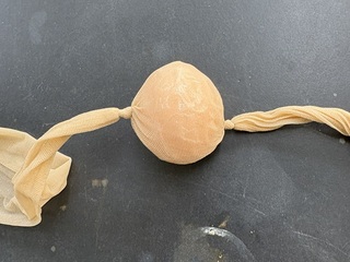 生物最後の授業
