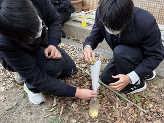 生物最後の授業