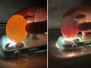 生物最後の授業