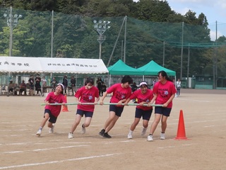 体育大会