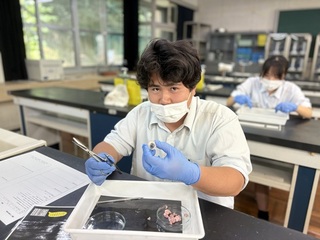 ブタの眼球の解剖（３年）植物観察（２年）