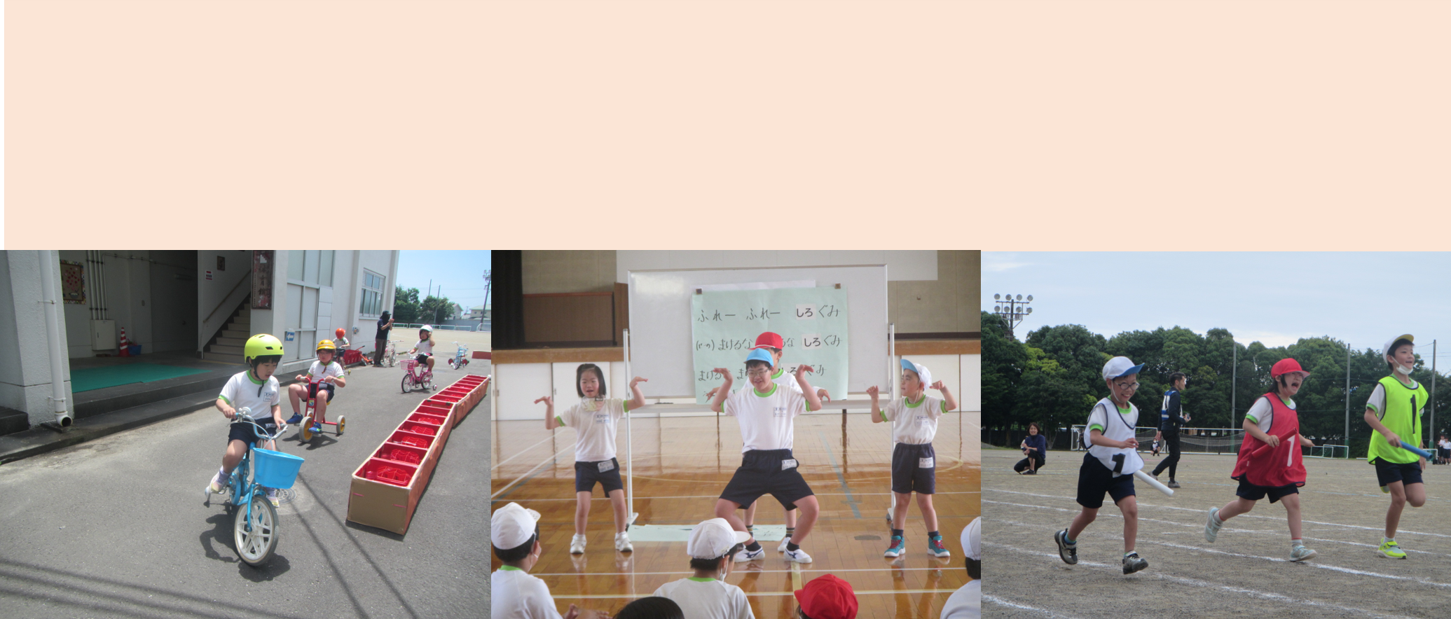 静岡県立吉田特別支援学校