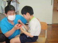給食
