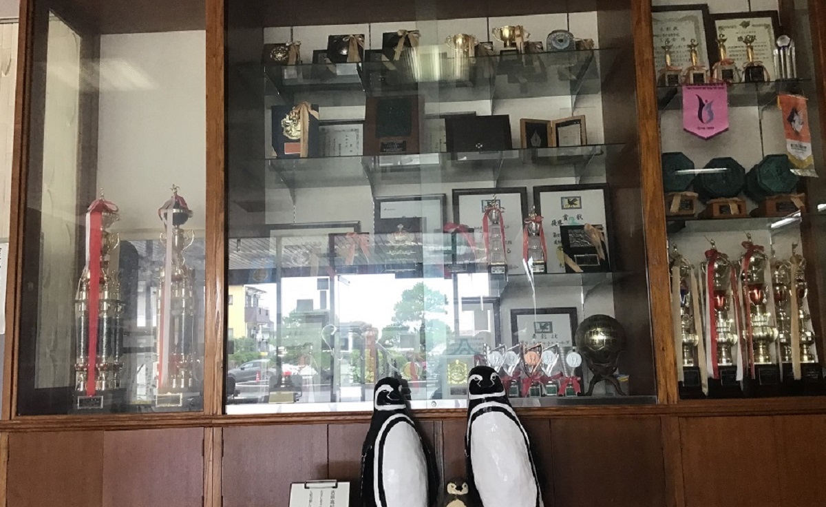 学校案内