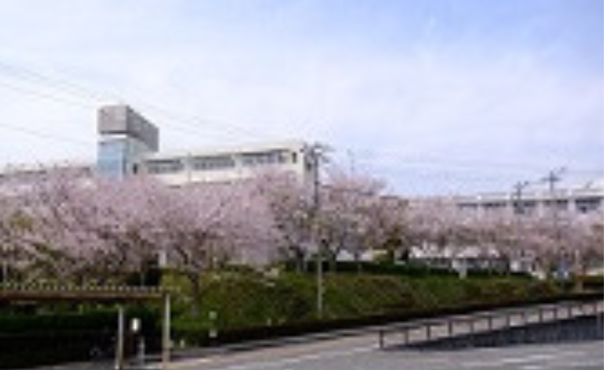 沿革